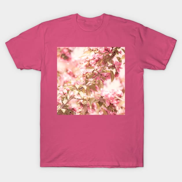 Dark pink apple blossom flowers on tree branches T-Shirt by Danielleroyer